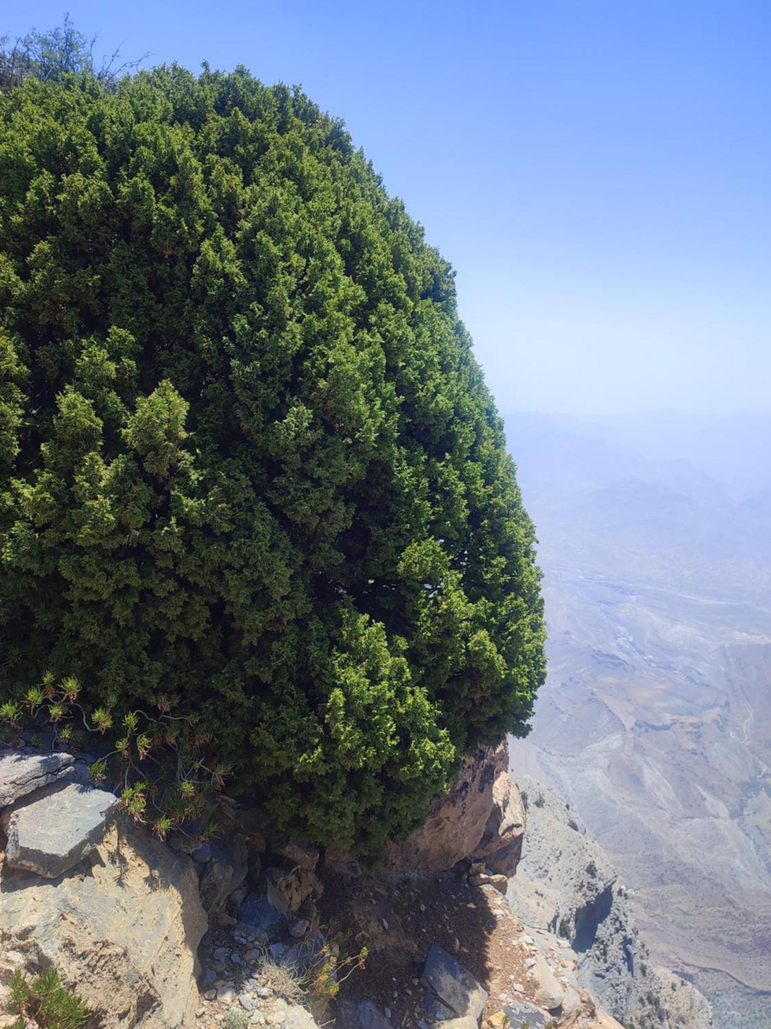 Stone Rest House Jebel Shams Al Ḩamrāʼ Exteriör bild